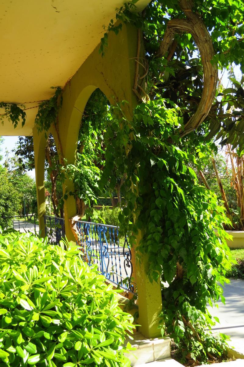 Petaloudes Maritime Hotel Apartments מראה חיצוני תמונה